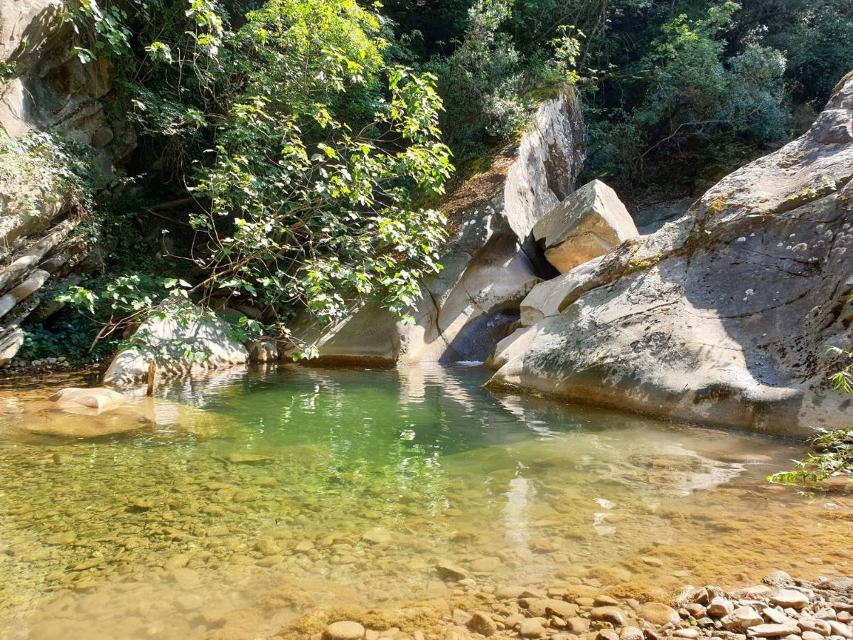 Casa L'Oca Βίλα Figline Valdarno Εξωτερικό φωτογραφία